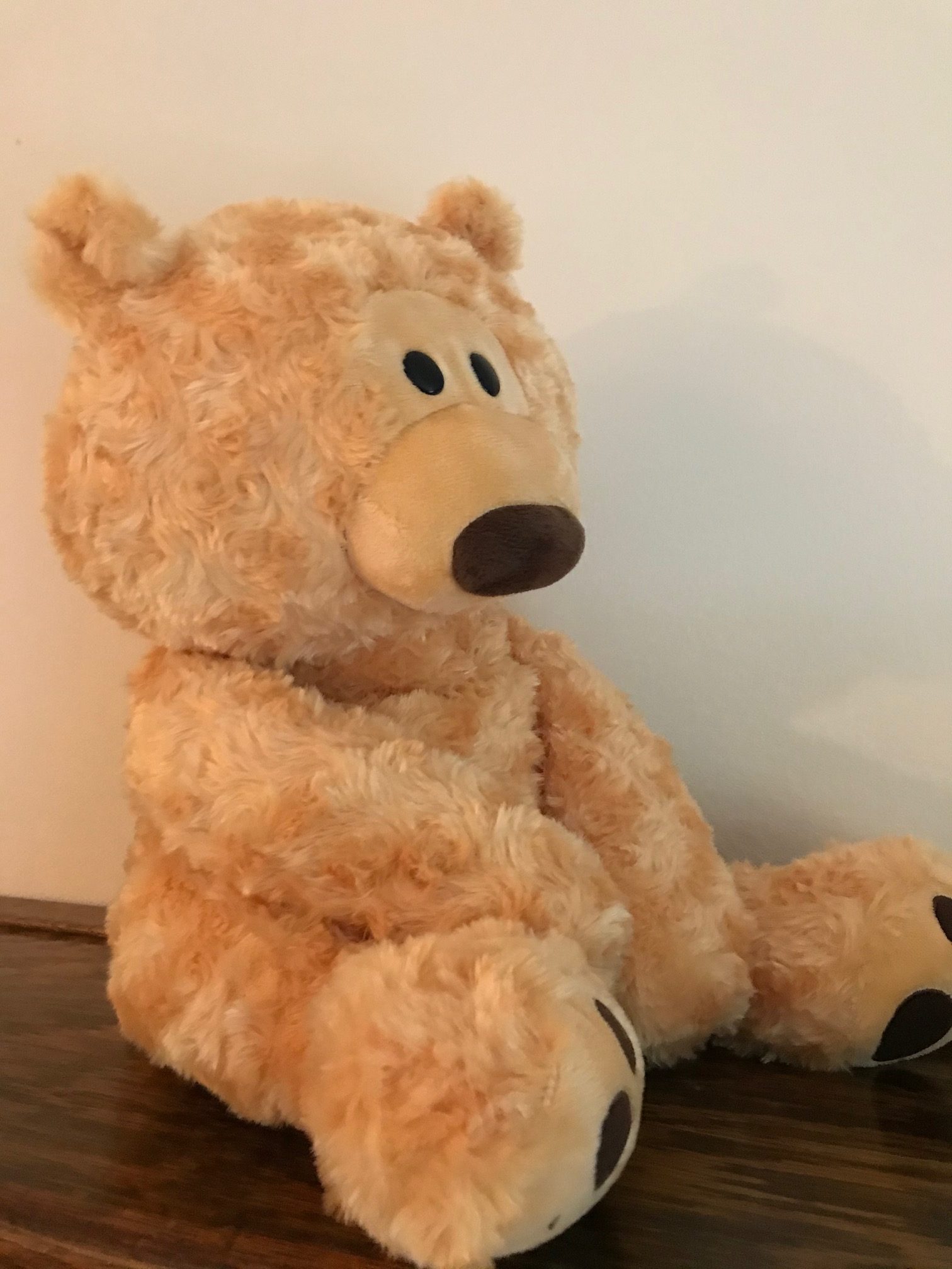 Sensory Koala 35cm Soft Toy Autism Anxiety Stress Bear 1.8kg NEW Weighted 4lb 