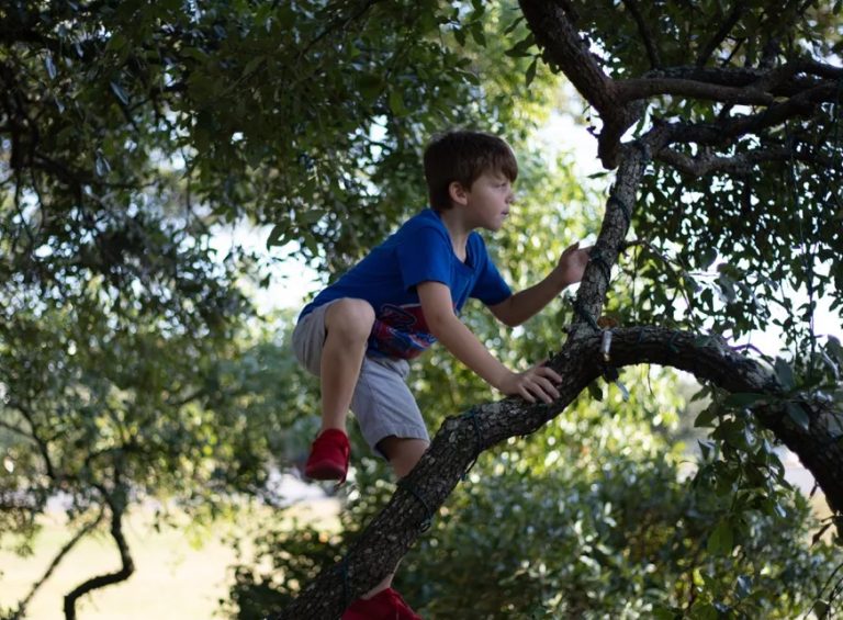 jeremiah-lawrence-oLZViCDG-dk-unsplash