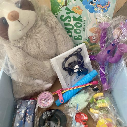 Sensory Fidget Toy Set / Box of 14 Pieces including long arm teddy.